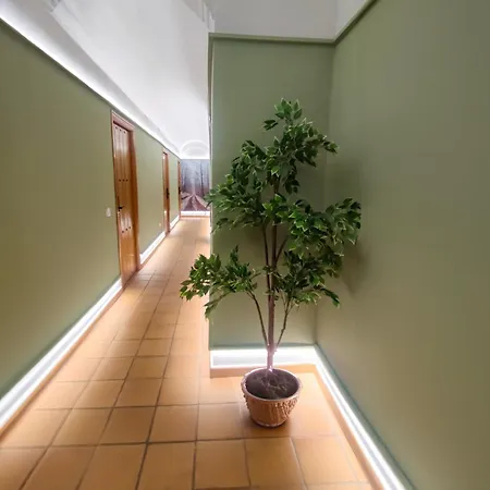 Altamira グアダルペ