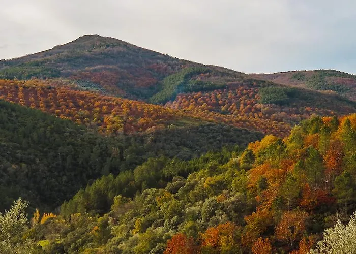 Πανσιόν Altamira