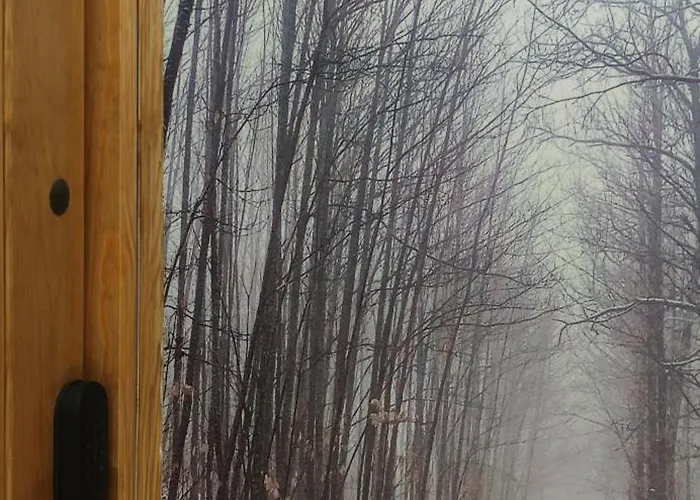 Πανσιόν Altamira *